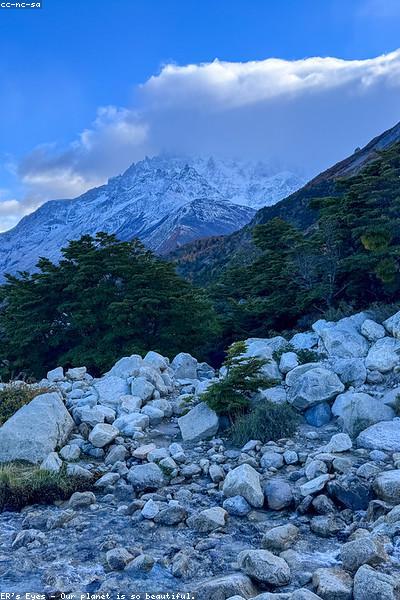 影片海报